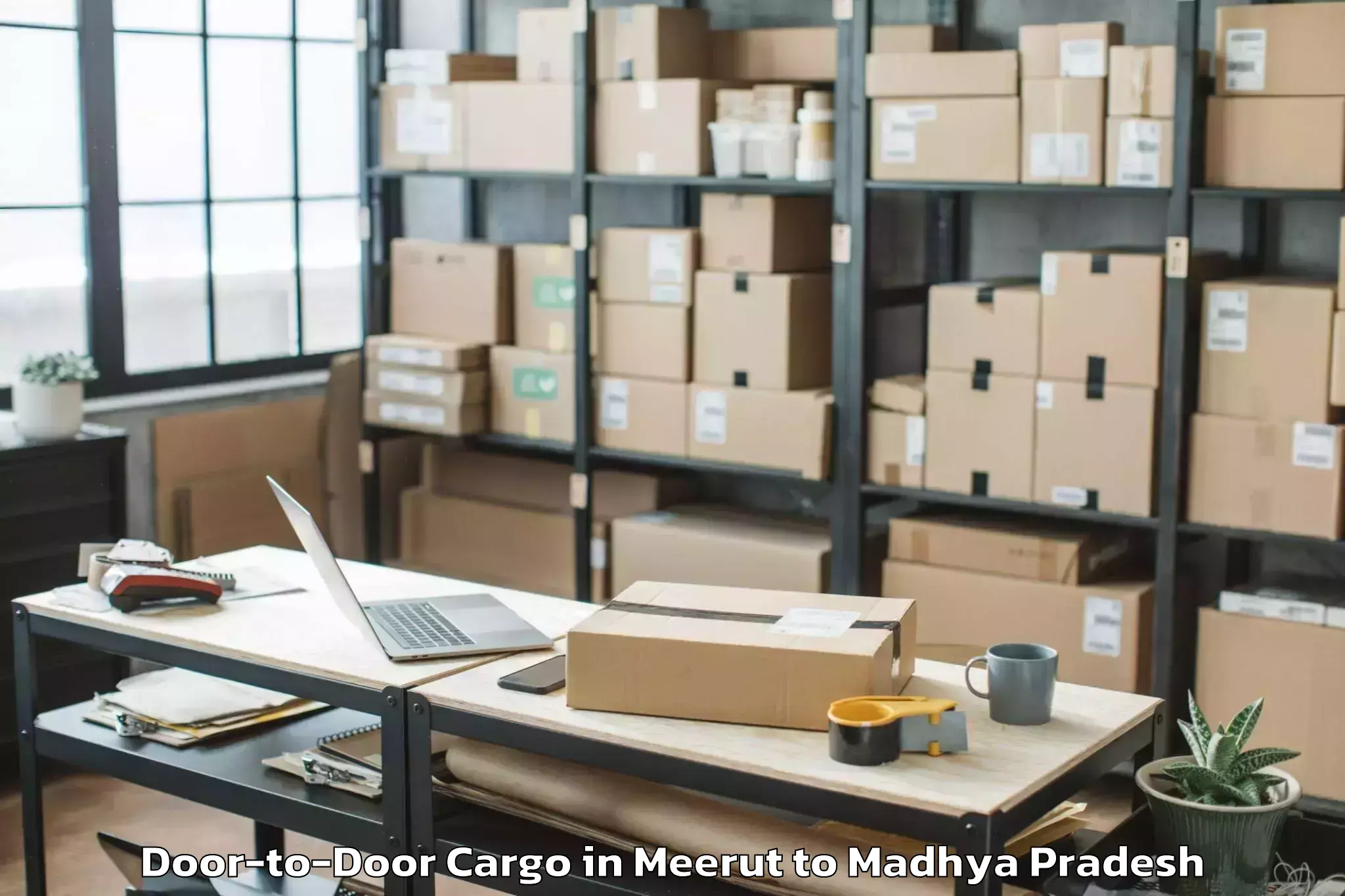 Top Meerut to Jawad Door To Door Cargo Available